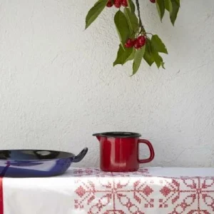 Riess Emaille Riess Schnabeltopf Aus Emaille In Rot 9 Cm / 0,5 L 7